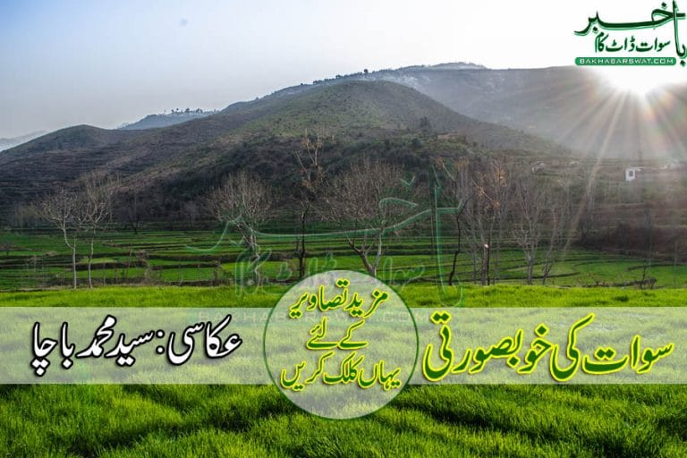 Swat beauty