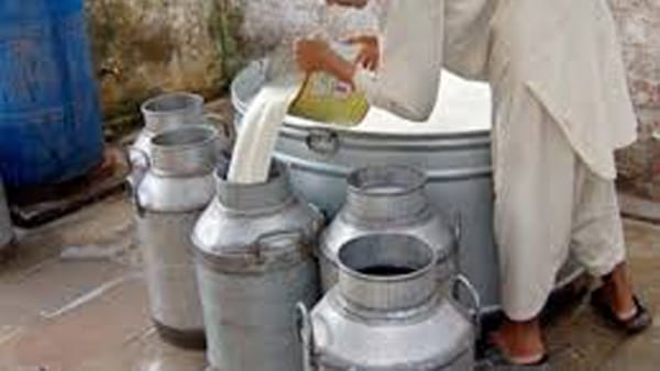 A Report on How Fake Milk Produce and sold in Swat