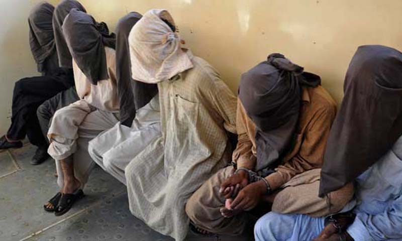 Swat Police Search Operation