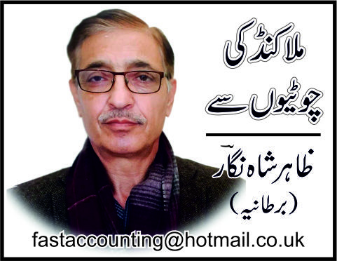 An Article By Zahir Ali Shah Nigar
