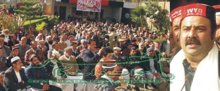 قومی وطن پارٹی پختونوں کی حقیقی جماعت ہے ، سکندر شیرپاو