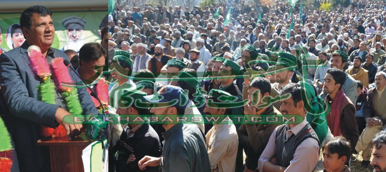 پی کے 85 سے اہم سیاسی شخصیات ن لیگ میں شامل