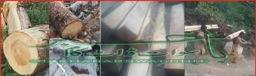 سوات میں سونامی بلین ٹری منصوبہ کا جنازہ نکال دیا گیا