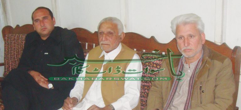 تحریک انصاف کے تین عہدیداروں کا الیکشن لڑنے کا اعلان