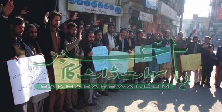 یونین کونسل اور ولیج کونسل کے سیکرٹریوں کا مظاہرہ
