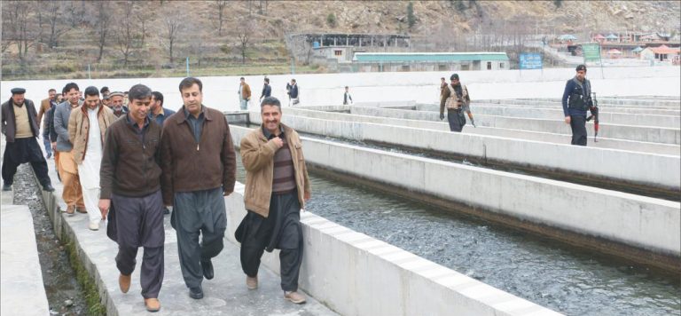 ڈی سی سوات کا مدین ٹراؤٹ فش ہچری میں بچہ مچھلی سٹا کنگ مہم کا افتتاح