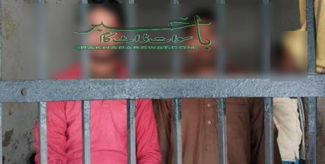 سوات پولیس کی کارروائی، غیر ملکی و بین الصوبائی نوسرباز گروہ کے ارکان گرفتار