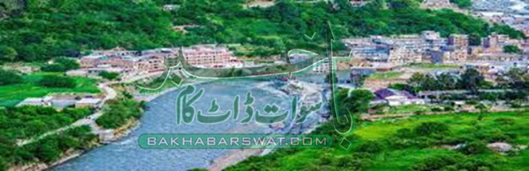 مدین میں ہوٹل مالکان نے دریا کو گندا نہ کرنے کا حلف نامہ جمع کر دیا