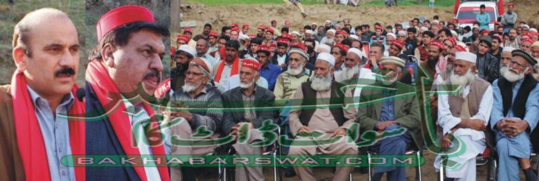 درجنوں افراد کی اے این پی میں شمولیت