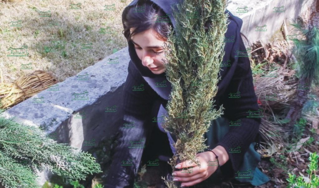گورنمنٹ گرلز کالج سوات میں شجرکاری اور بیوٹیفیکیشن مہم اختتام پذیر