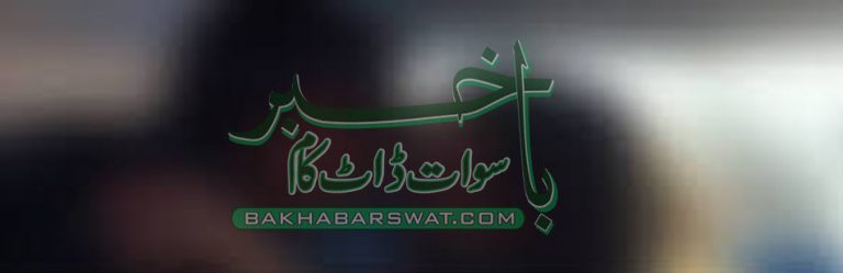 سیدو ہسپتال، ڈاکٹر بٹ خیلہ کی خاتون کے ساتھ رنگ رلیا ں مناتے پکڑا گیا