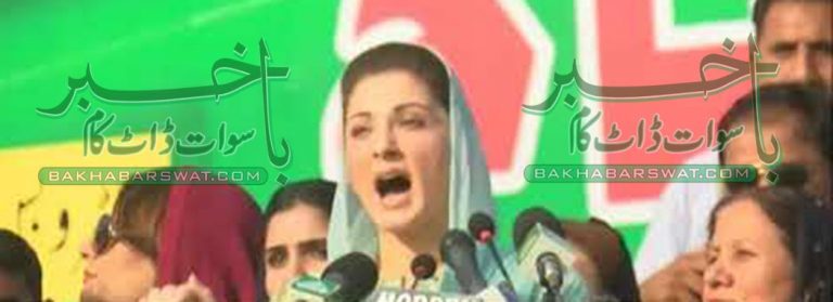 تبدیلی کے نام پر ووٹ بٹورنے والے نے مڑ کر صوبہ کی طرف نہیں دیکھا، مریم نواز