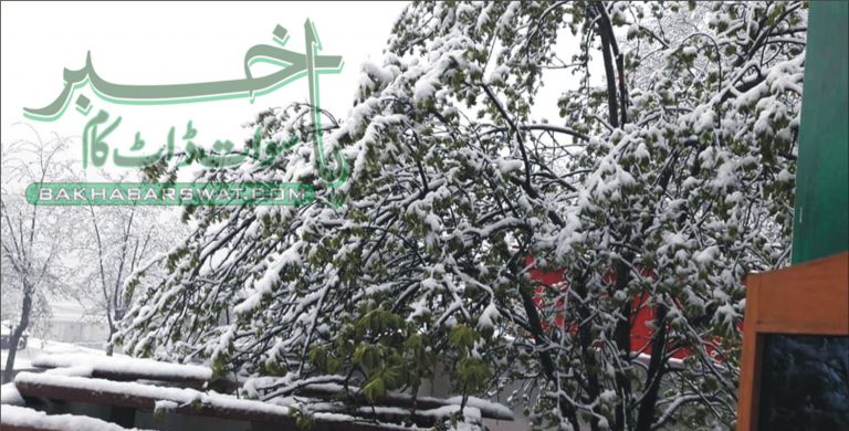 کالام میں برف باری، بیس سالہ ریکارڈ ٹوٹ گیا