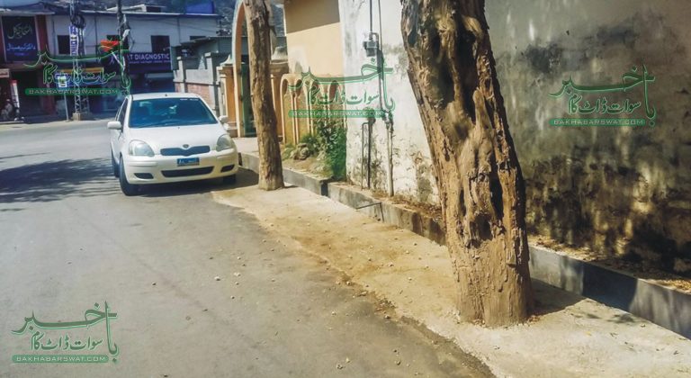 بیوٹیفکیشن پروگرام میں شہر کے درختوں کا گلا گھونٹا جا رہا ہے، خصوصی رپورٹ