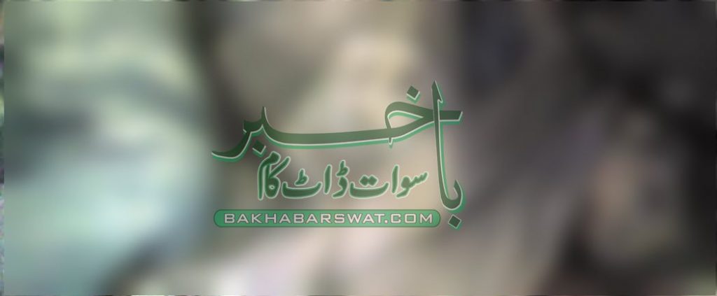 سولہ سالہ نوجوان کی پُراَسرار موت،تفتیش کا آغاز