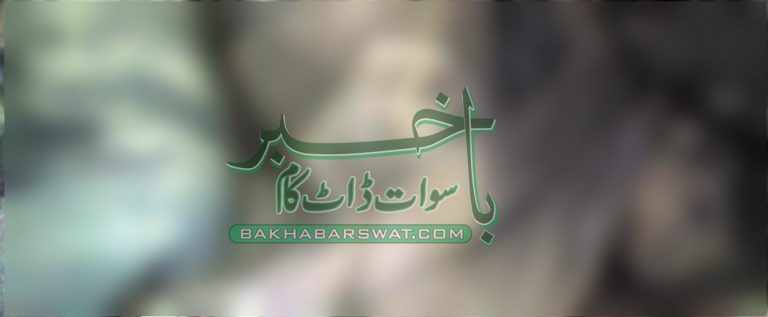 سولہ سالہ نوجوان کی پُراَسرار موت،تفتیش کا آغاز
