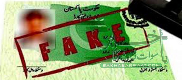 نیشنل انکم سپورٹ پروگرام کے نام پر لوٹنے والا گروہ گرفتار