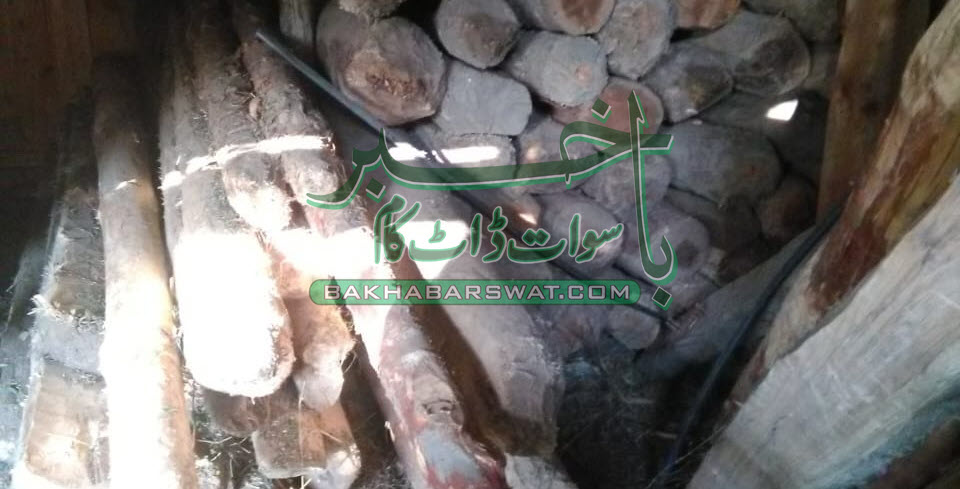منظم ٹمبر مافیا کا منظم گروہ گرفتار،لاکھوں کی لکڑی برآمد