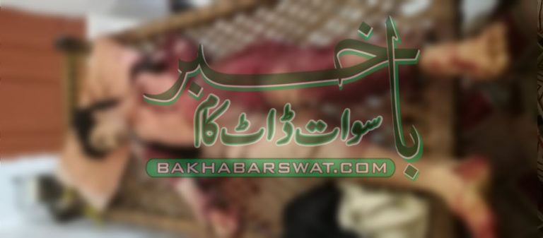 17سالہ نوجوان نے خود پر فائرنگ کرکے خود کشی کرلی