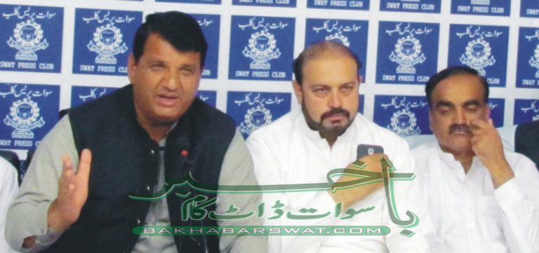 ایک ماہ بعد لوڈشیڈنگ ختم ہوجائے گی، امیر مقام