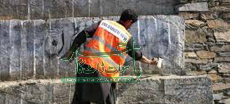 تحصیل میونسپل کمیٹی خوازہ خیلہ نے ریکا رڈ توڑ دیا