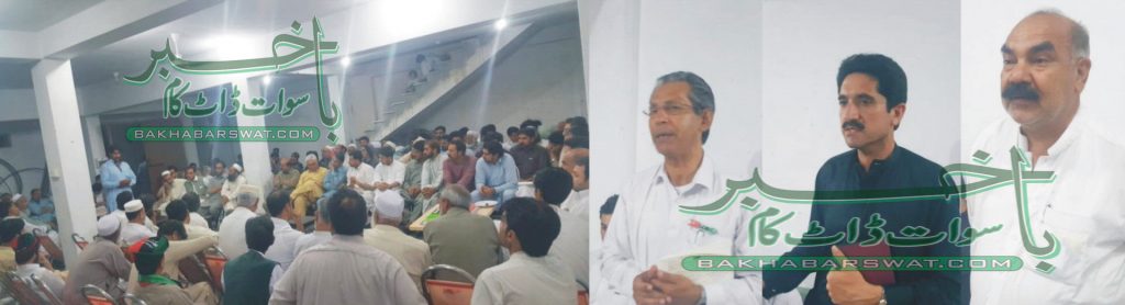 پی پی پی این اے تھری کے امیدواروں کا انتخابی مہم کا آغاز
