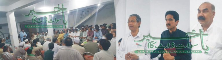 پی پی پی این اے تھری کے امیدواروں کا انتخابی مہم کا آغاز