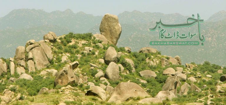 سیدو شریف، زمین تنازعہ، 8 افراد جیل بھیج دیے گئے