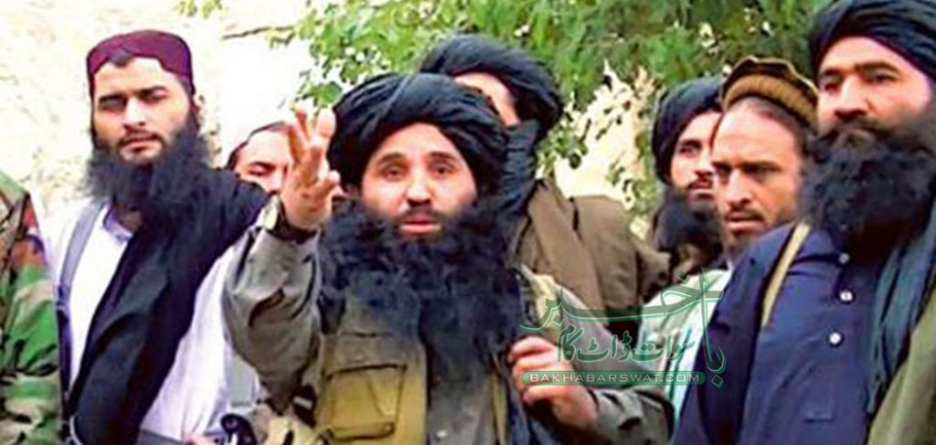 طالبان رہنما ملا فضل اللہ امریکی ڈرون حملے میں ہلاک