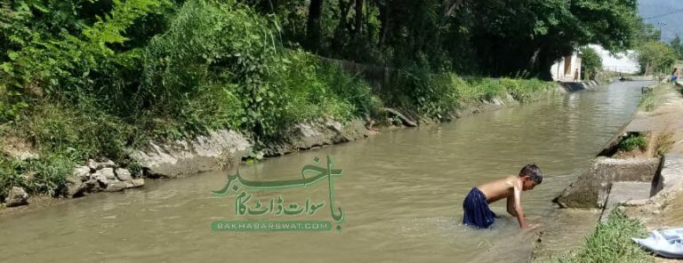 بہن بھائی نہر میں جاگرے، بھائی جاں بحق، بہن زخمی