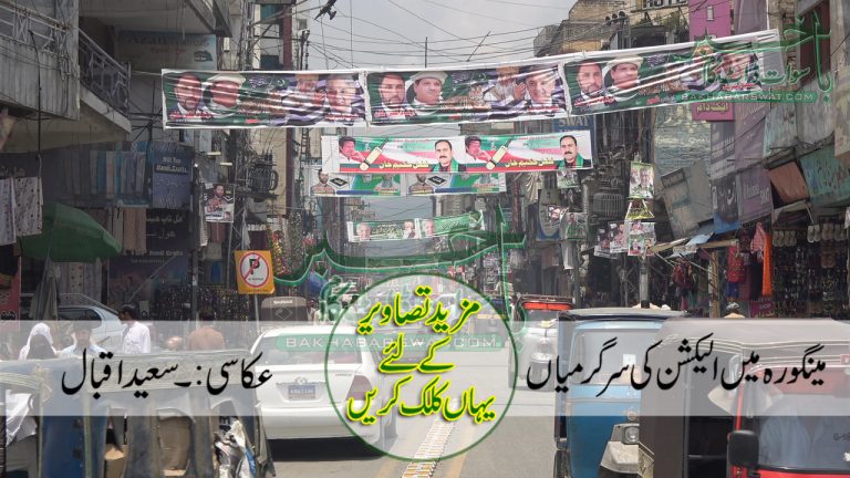 مینگورہ میں الیکشن کی سر گرمیاں