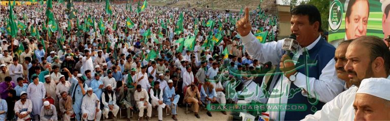چیلنج دیتا ہوں، شہباز شریف اگلے وزیر اعظم ہوں گے، امیر مقام