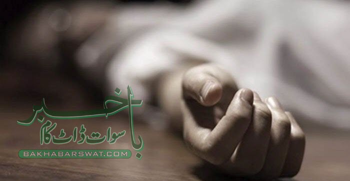 سیدوشریف اسپتال میں ڈاکٹروں اور عملہ کی ہڑتال، بیمار خاتون چل بسی