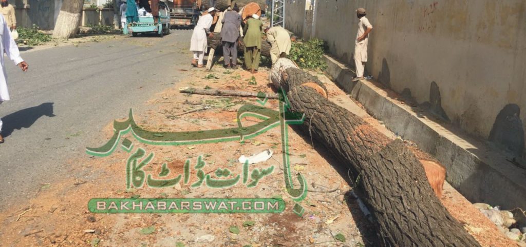 کفر ٹوٹا خدا خدا کرکے، ڈی ایف او سوات کے خلاف تحقیقات شروع