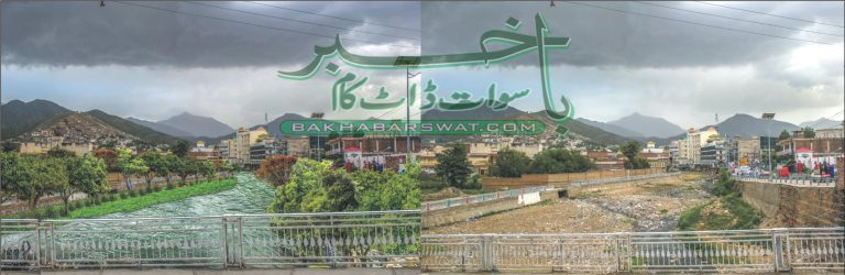 سول سائٹی کے نوجوانوں کا اپنی مدد آپ کے تحت شجرکار مہم کا آغاز