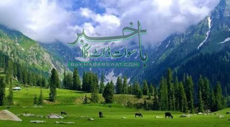شدید گرمی ، جشن آزادی کی چھٹی منانے سیاح سوات امڈ آئے