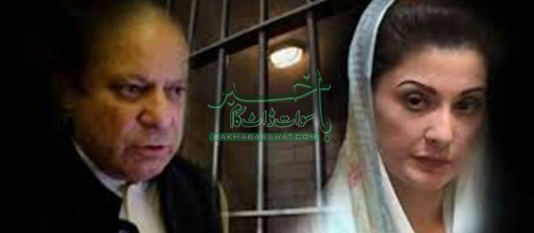 سابق وزیر اعظم نواز شریف کی سزا معطلی اور رہائی پر جشن