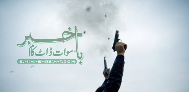 مینگورہ، مبینہ چوروں کی آمد، شہر ہوائی فائرنگ سے گونج اٹھا