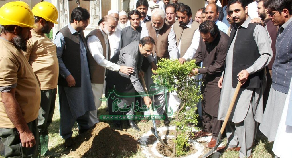 ڈیڈک چیئرمین نے پودا لگاکر کلین اینڈ گرین پاکستان مہم کا آغاز کردیا