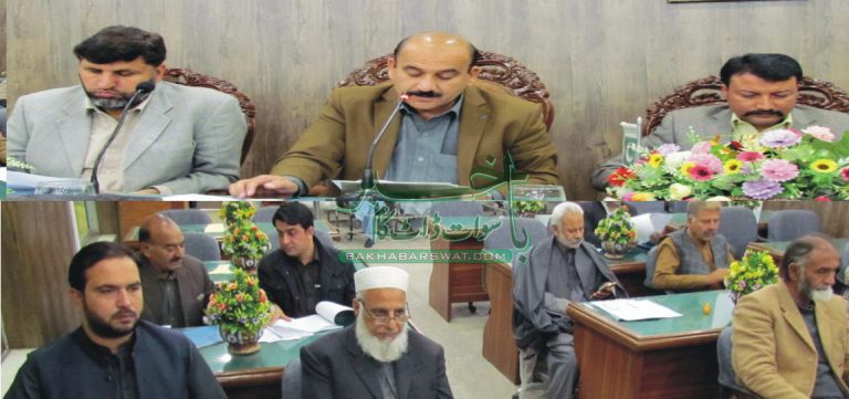 تحصیل کونسل بابوزئی کا بجٹ اتفاق رائے سے منظور