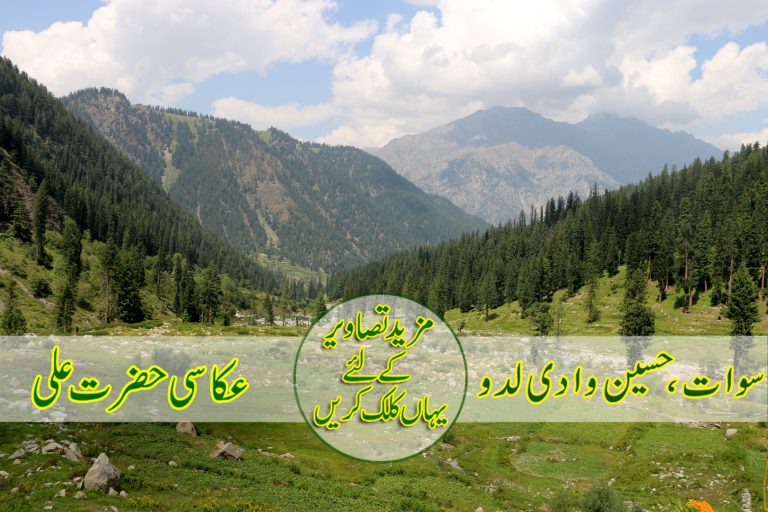 سوات ،حسین وادی لدو