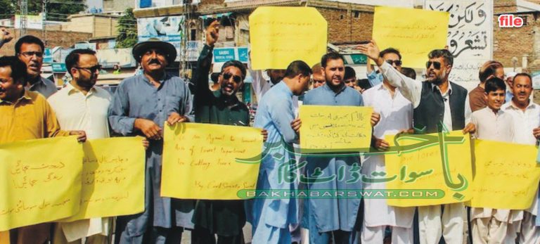 تاریخی چناروں کو ہاتھ لگایا گیا، تو دما دم مست قلندر ہوگا، سول سوسائٹی سوات