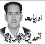 تصدیق حسین بابو