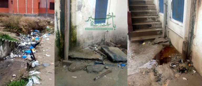 سیدو شریف تدریسی اسپتال مسائل کی آماجگاہ، سروے رپورٹ