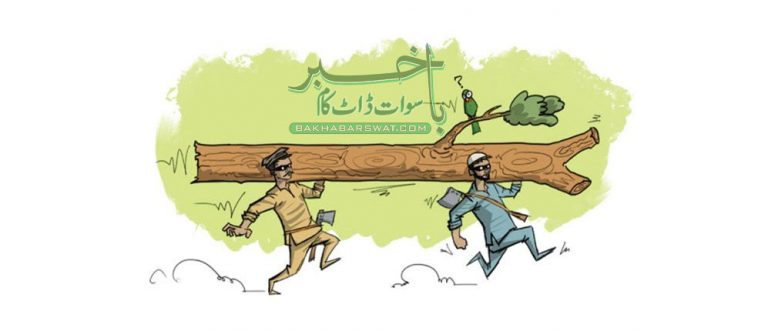 ٹمبر مافیا کے خلاف منظم کارروائی کا آغاز کر دیا ہے، ترجمان محکمہ جنگلات