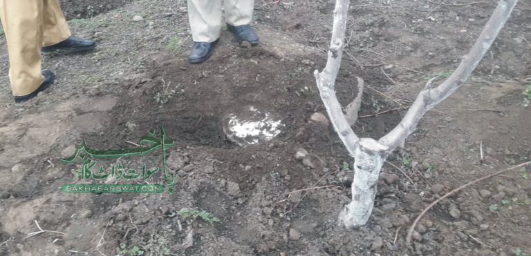 بیدرہ، آڑو کے کھیتوں سے پرانا پریشر ککر بم برآمد