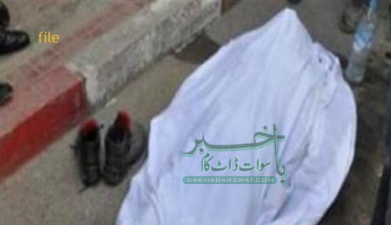 حیات آباد، نامعلوم قاتل کے ہاتھوں چوکیدار لاٹھی کے وارسیقتل