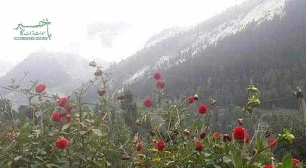 وادی مٹلتان دور جدید میں بھی بنیادی سہولیات سے محروم,انجینئر سعید خان