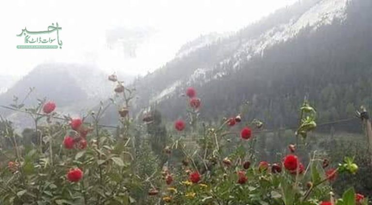 وادی مٹلتان دور جدید میں بھی بنیادی سہولیات سے محروم,انجینئر سعید خان