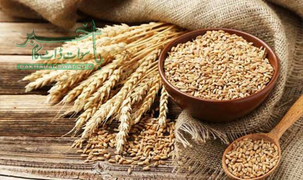 سوات، فلور مل مالکان کا رمضان المبارک میں آٹے کی قیمتوں میں کمی کا اعلان